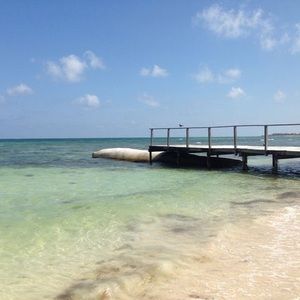 Meet your Posher, Annie